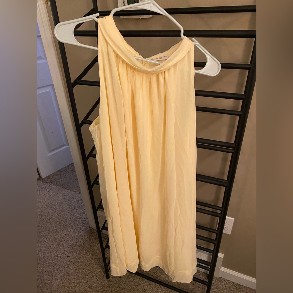 Chiffon Shift Dress